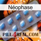 Néophase viagra3